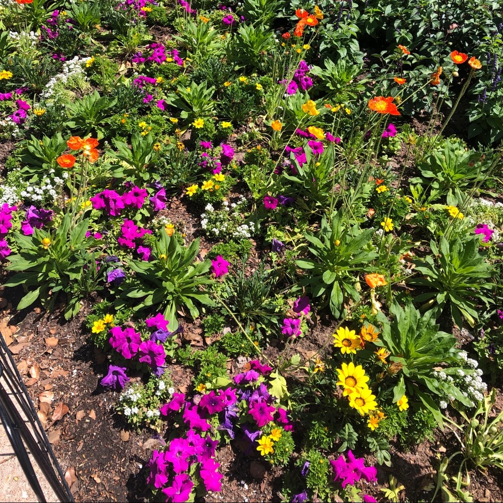 Meet your Posher, Laura